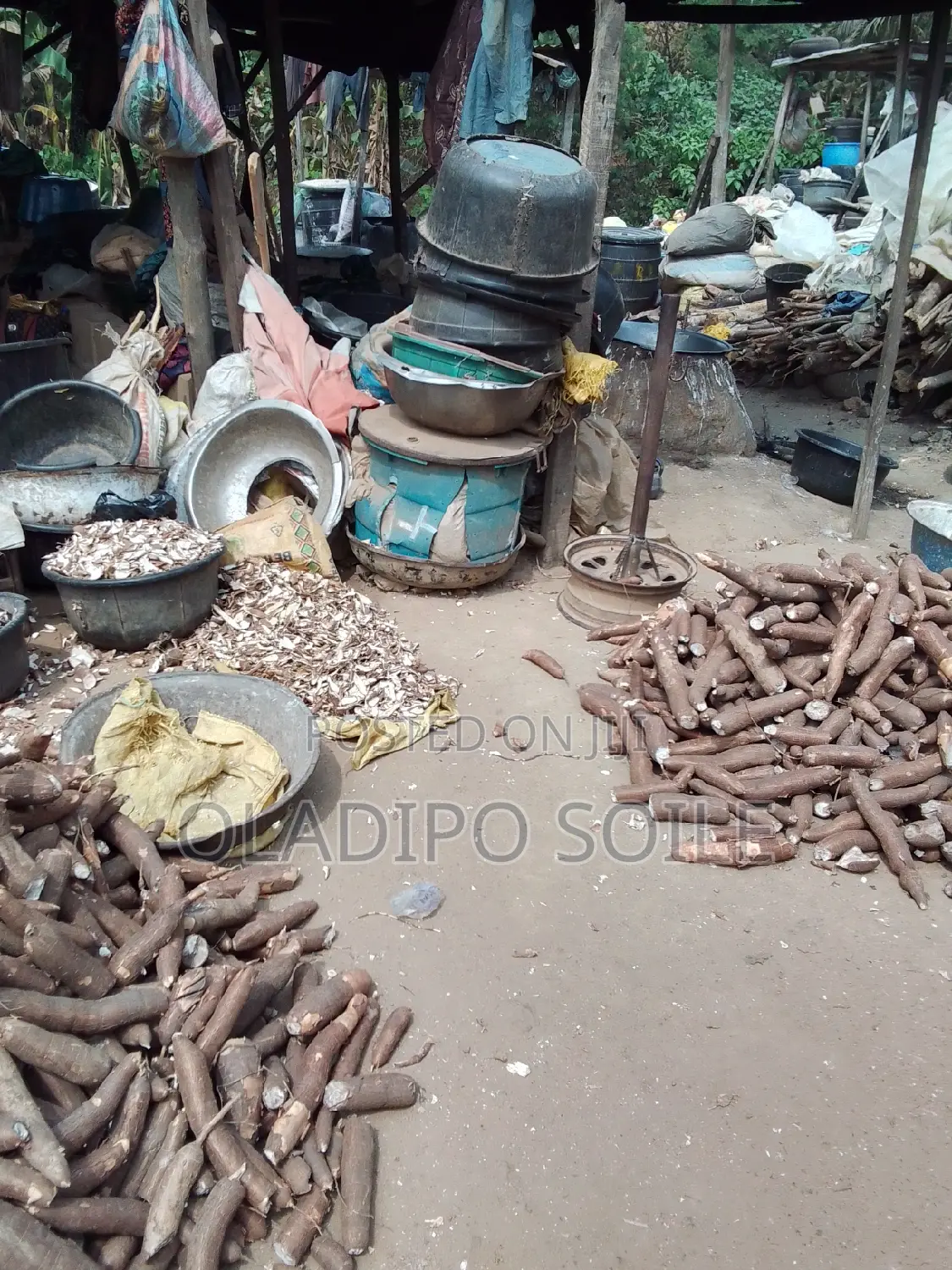 Cassava Peels/Flour