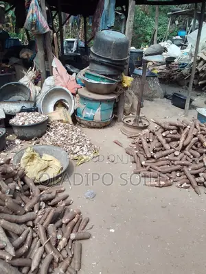 Cassava Peels/Flour