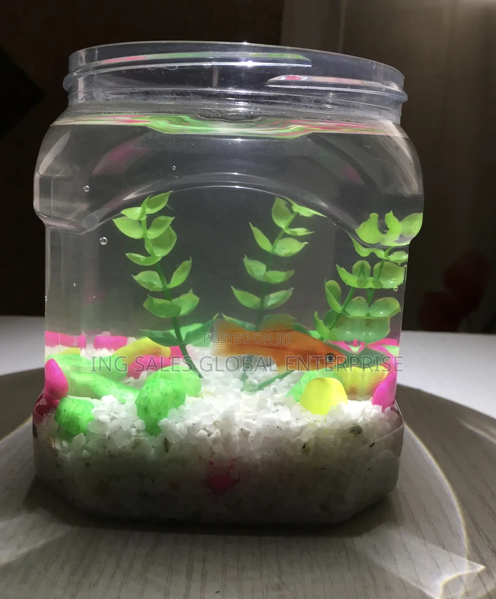 Plastic Fish Bowl Kit + Fish Feed and Water Treatment
