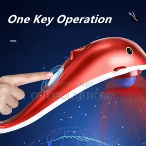 Dolphin Massager With 3' Interchangeable Heads