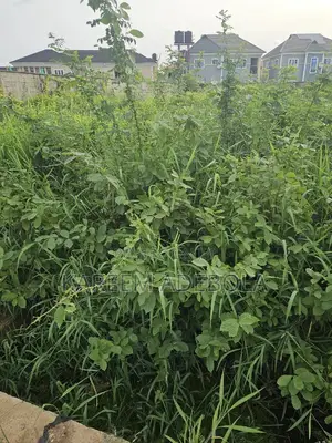 Residential Land at Jericho Ibadan