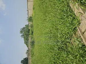 Residential Land at Omololu Olunloyo Gra Adeoyo Ibadan
