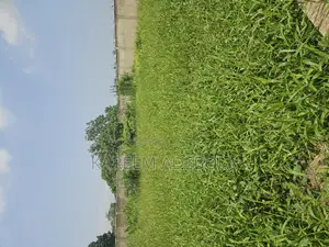 Commercial Land at Samonda Ibadan