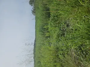 Mixed Use Land at Kudeti Drive Onireke