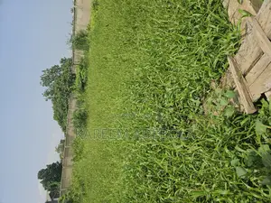 Residential Land at Alalubosa Gra Phase1