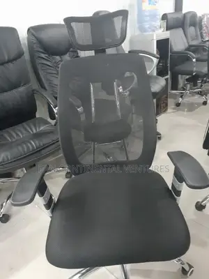 Ergonomic Venti High Back Chair