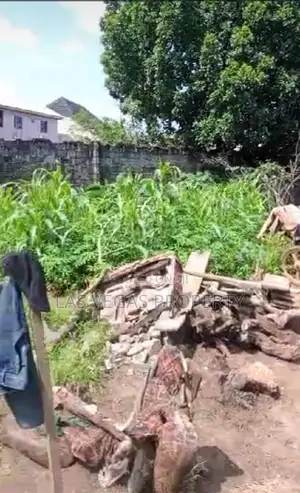 Over 800sqmts With Two Uncompleted Buildings at AREA V.