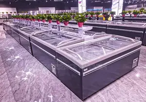 Iceland Display Chiller/Freezer
