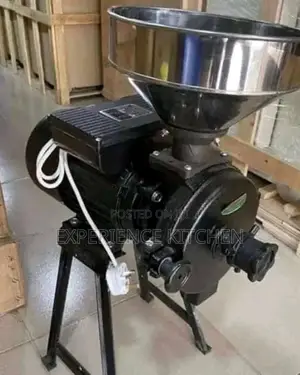 Wet and Dry Grinder
