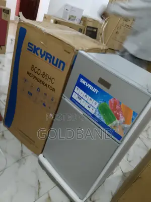 Quality Skyrun BCD-85hc Refrigerator