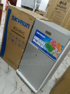 High Quality Skyrun BCD-85hc Refrigerator