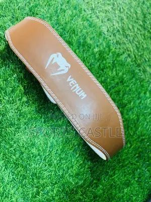 Weight Lifting Belt
