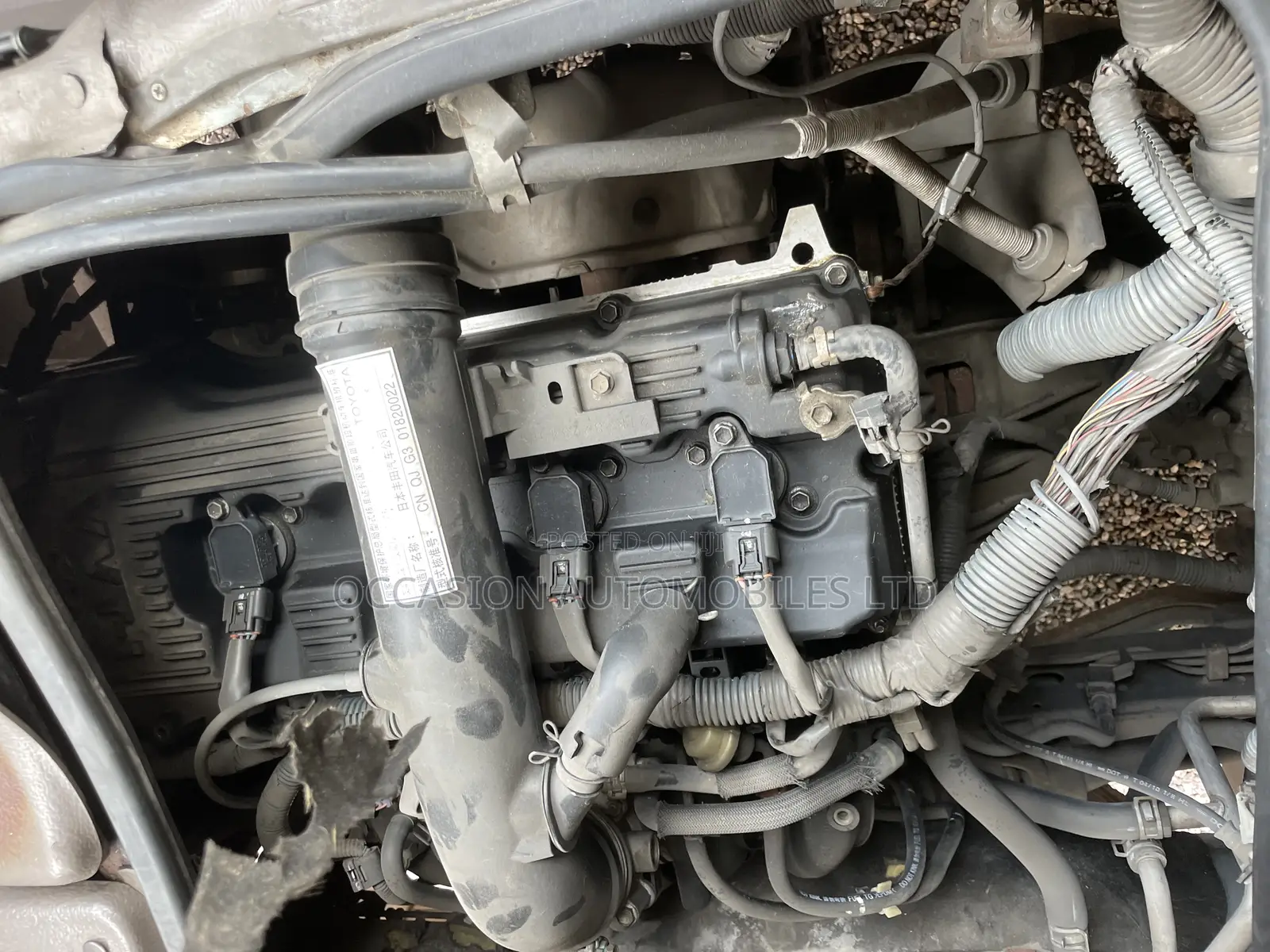 Toyota Coaster 2011 Gold