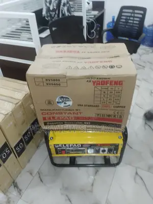 4.5kva Quality Elepaq Constant Manual Generator Sv6800