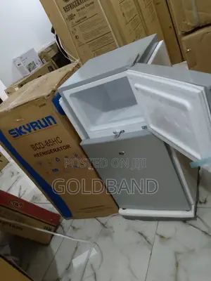 High Quality Skyrun 70L BCD-85hc Refrigerator