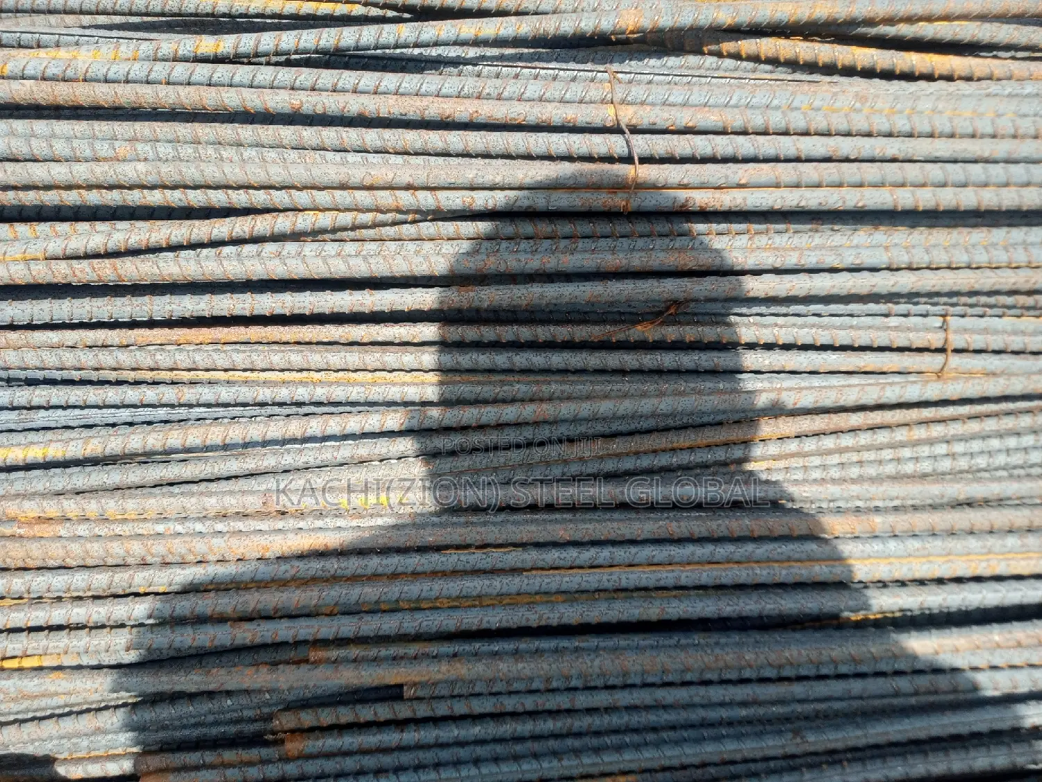 Standard Royal TMT 12mm.
