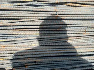 Standard Royal TMT 12mm.