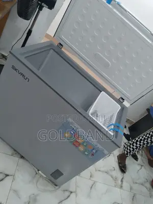 Bestselling Skyrun 200L Chest Freezer