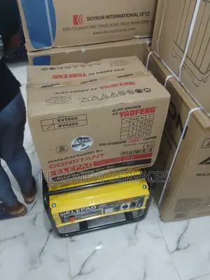 Very Convinent Sv6800 Elepaq Constant 4.5kva Generator