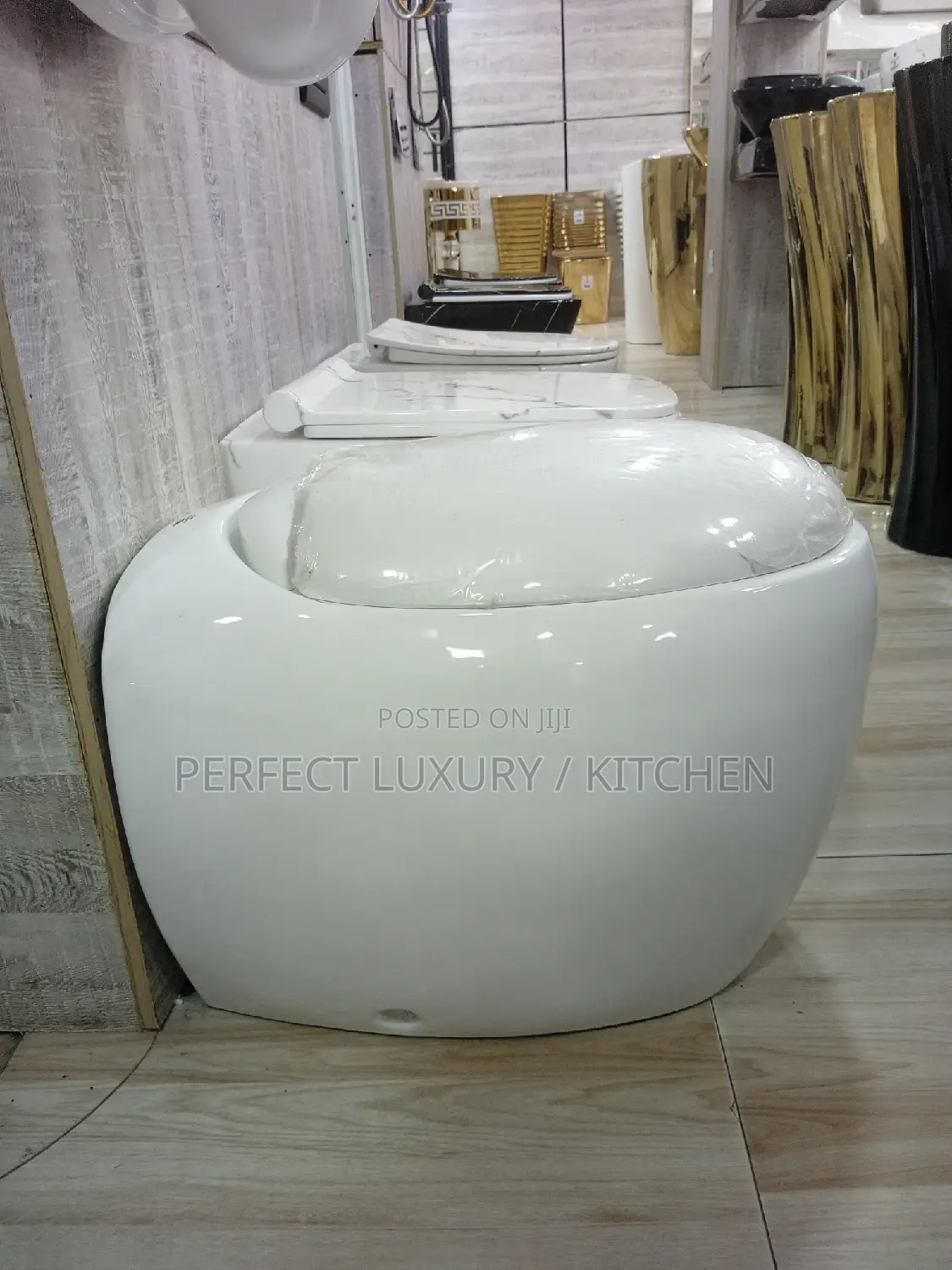 Egg Shape Executive Conceal Water Closets
