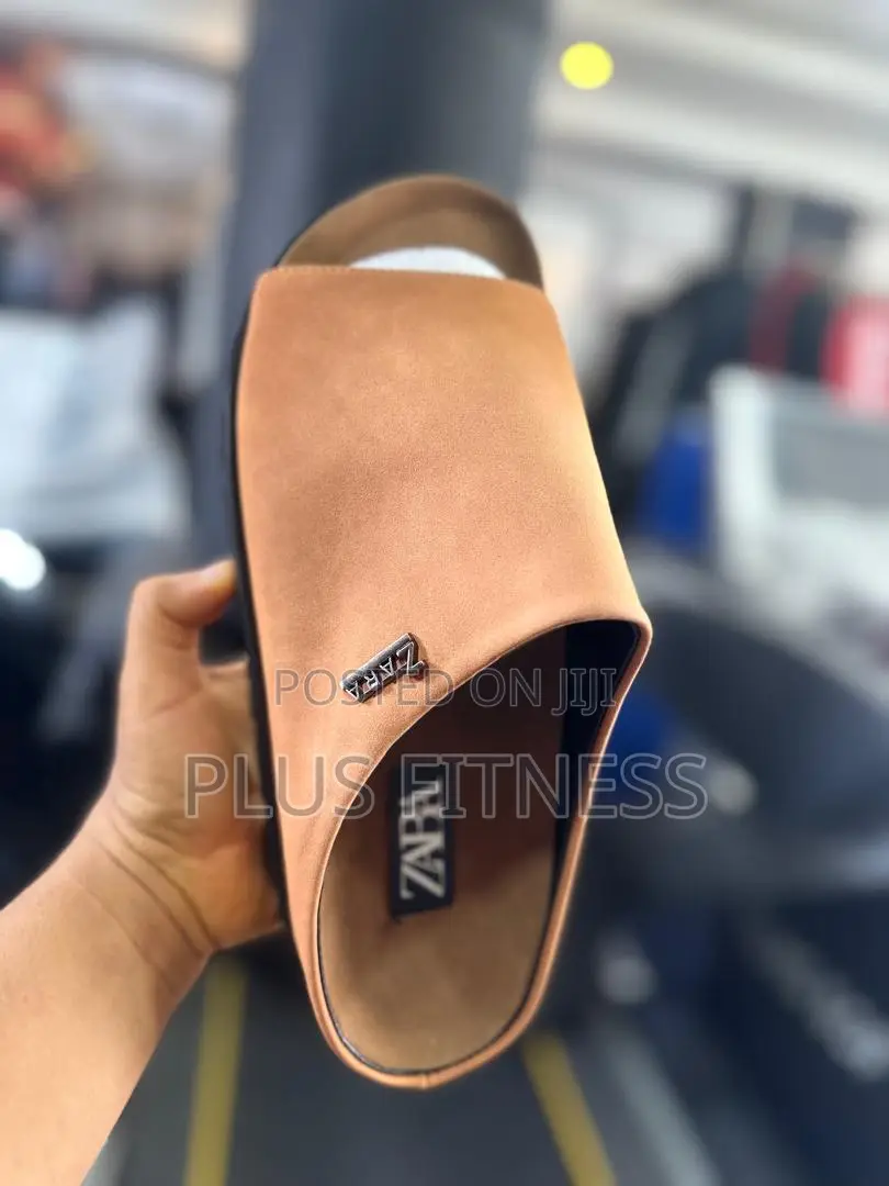 Zara Palms