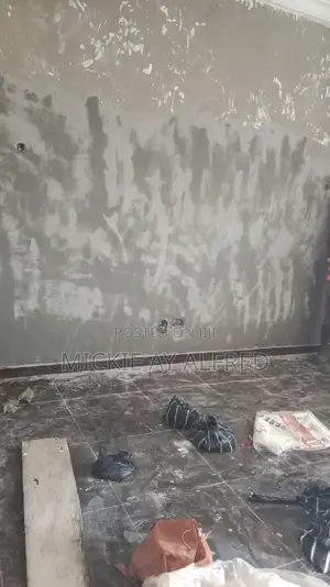 Wall Screeding
