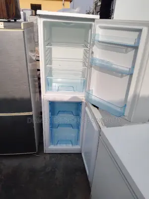 Double Door Fridge and Freezer