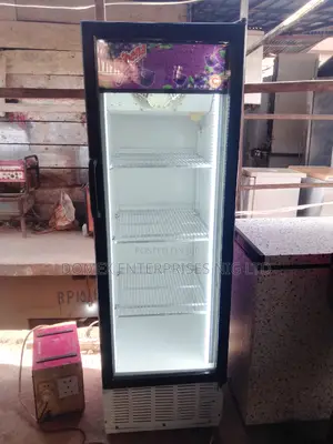 Standing Glass Fridge