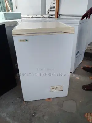 Deep Freezer for Business