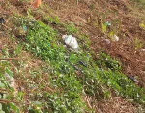 For Sale 800sqm Land At Off Agidingbi Road, Ikeja Lagos