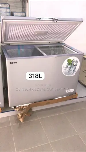 Bona 318litres Chest Deep Freezer