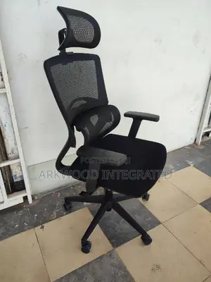 Ergonomic Design Back Support Office Chair