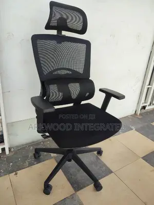 Ergonomic Design Back Support Office Chair