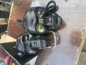 Skull Led Lights
