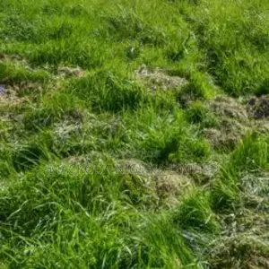 For SALE, Size: 3,366sqm
By Admiralty Way, William’S STR