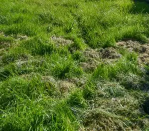 3329sqm Land Along Ajah /Ogombo Road Ogombo, Ajah Eti-Osa