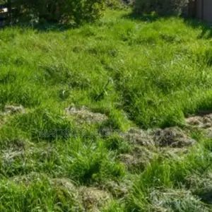 For Sale: Lekki Peninsula Scheme 1. Plot Size: 2757.73sqm