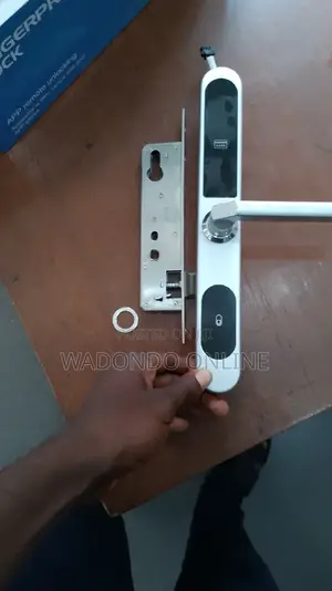 Aluminum Smart Lock With Ultra Thin Engine