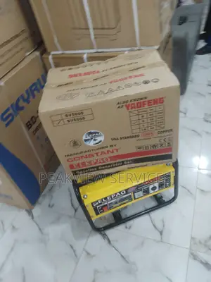 Very Comfortable 4.5kva Elepaq Constant Manual Generator