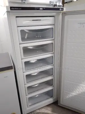 Standing Freezer for Block