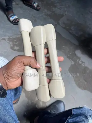 Lexus IS 250 Inner Roof Handle