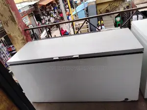Deep Freezer for Block and Business