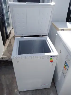 Deep Freezer for Block and Business