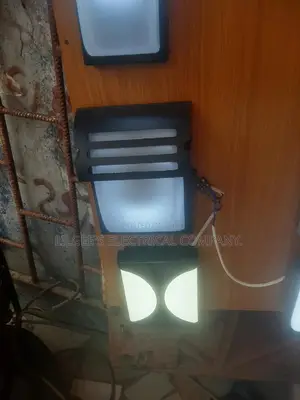 Outdoor/Security Lights