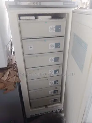 Liebherr Standing Freezer for Block