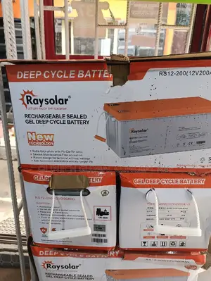 Ray Solar Deep Circle Dry Cell Battery