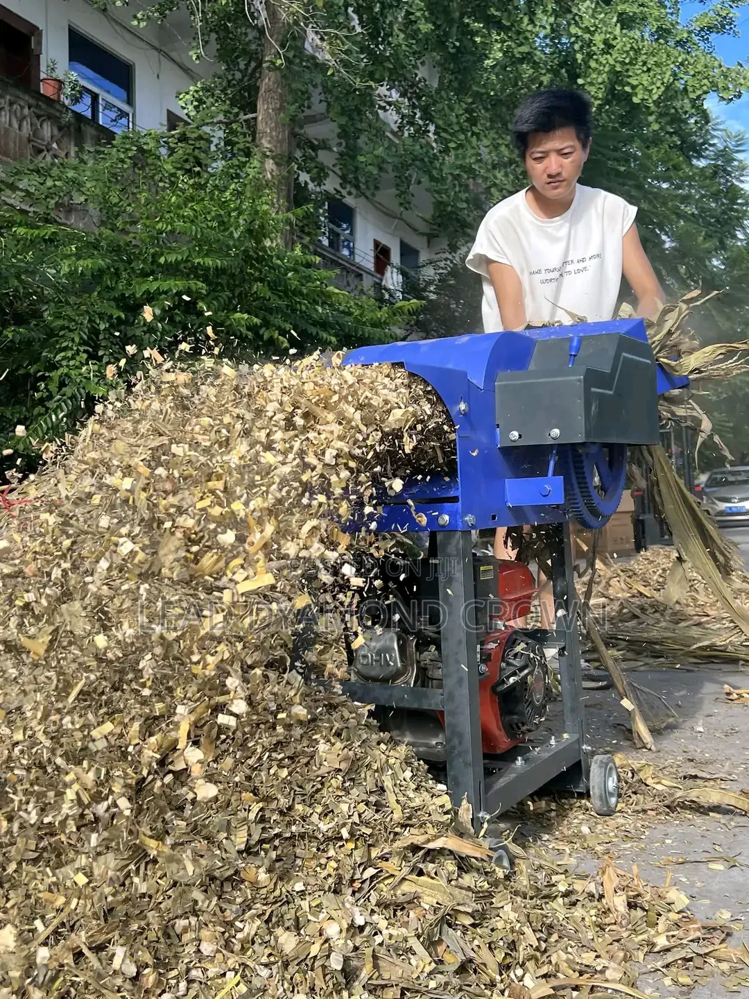 Chaff Cutter Machine