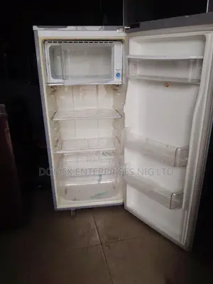 Samsung Fridge With Dispenser