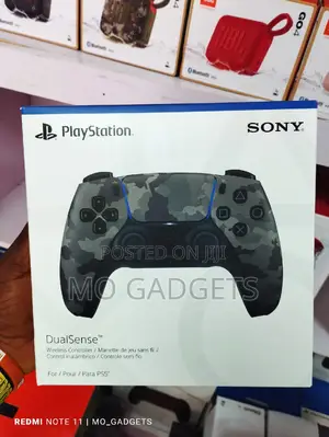 Ps5 Game Pad