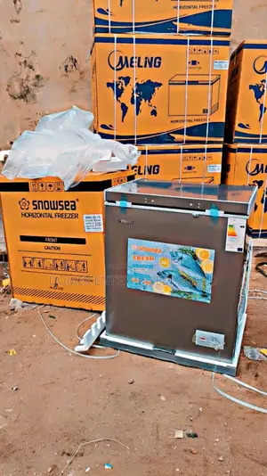 Chest Freezer for Block and Business or Home Use